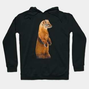 Marten - Woodland Themed Kids Room, Funny Gifts For Forester, Cute Anima Hoodie